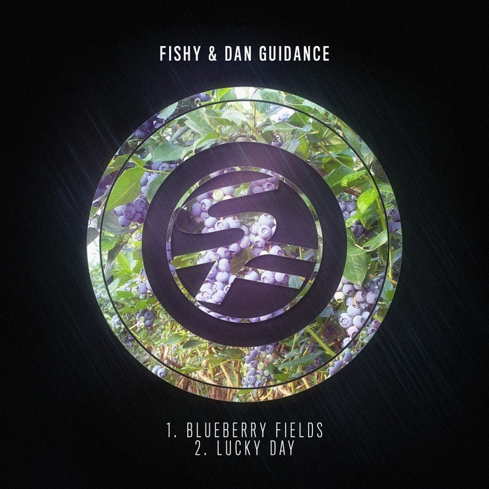 FISHY/DAN GUIDANCE - Blueberry Fields/Lucky Day