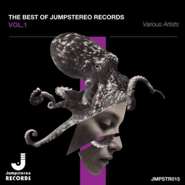 VARIOUS - The Best Of Jumpstereo Records Vol 1
