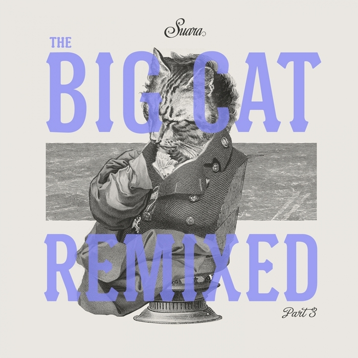 RAMIREZ, Charles/BAUM/COYU - The Big Cat Remixed Pt 3