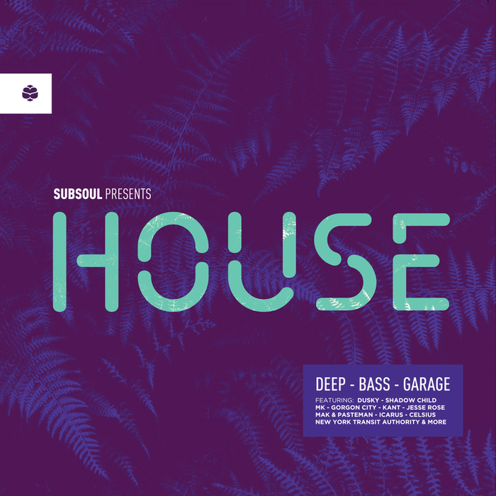 VARIOUS - SubSoul Presents House