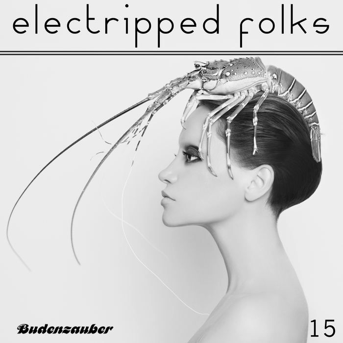 VARIOUS - Electripped Folks 15