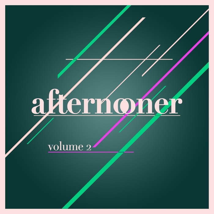 VARIOUS - Afternooner Vol 2