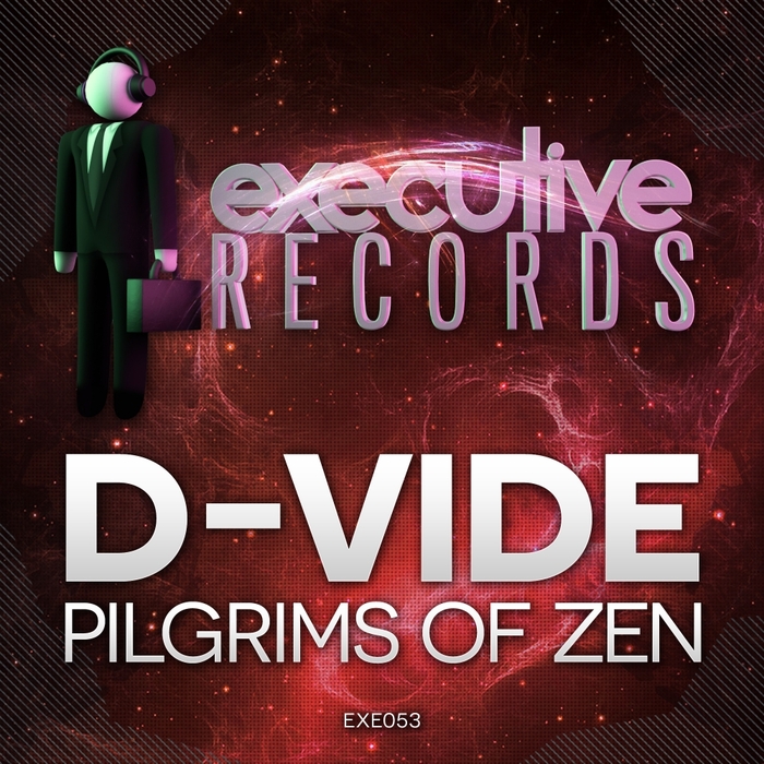 D VIDE - Pilgrims Of Zen