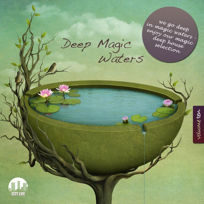 VARIOUS - Deep Magic Waters Vol 10