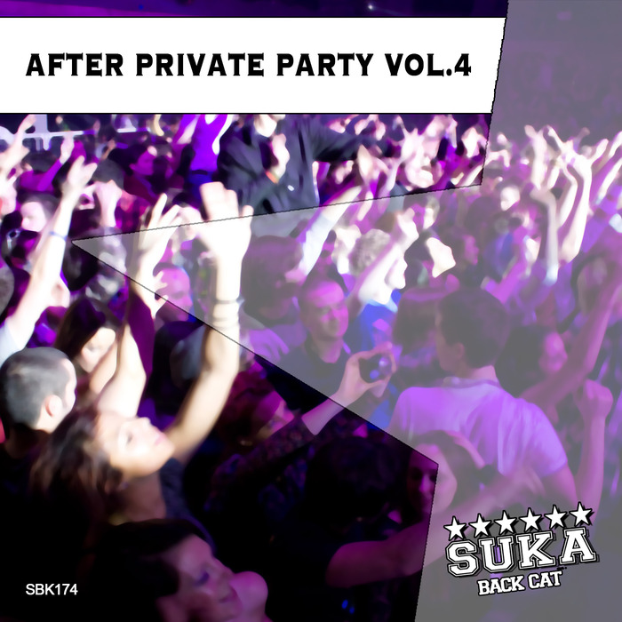 VARIOUS - After Private Party Vol 4