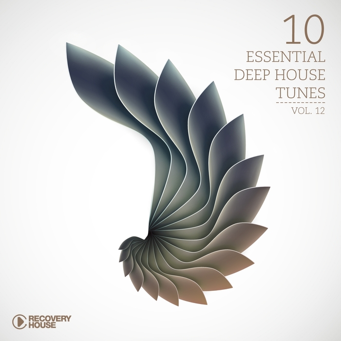 VARIOUS - 10 Essential Deep House Tunes Vol 12 (unmixed tracks)