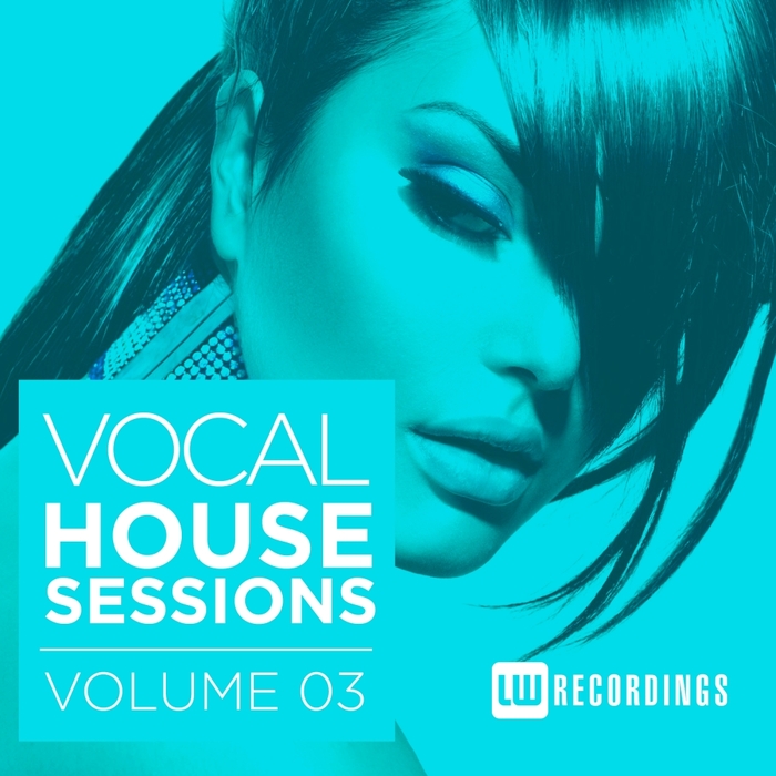 VARIOUS - Vocal House Sessions Vol 3