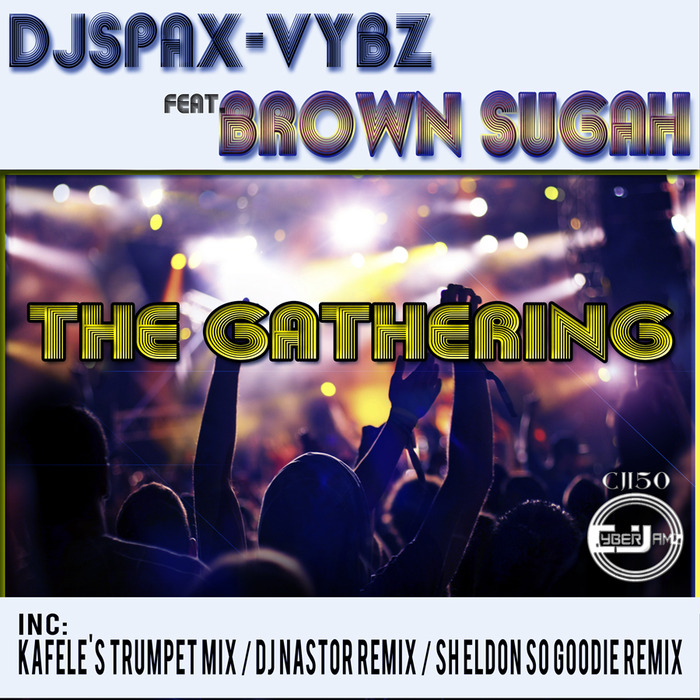 DJ SPAX VYBZ feat BROWN SUGAH - The Gathering
