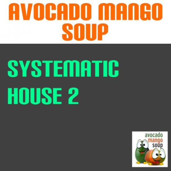 VARIOUS - Systematic House Vol 2