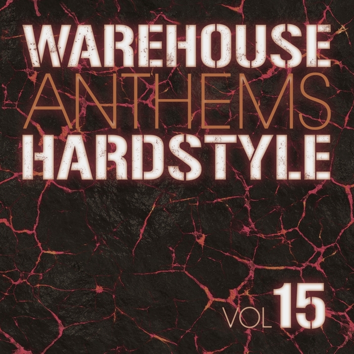 VARIOUS - Warehouse Anthems Hardstyle Vol 15