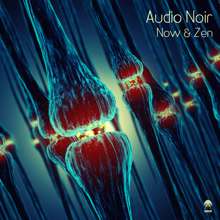 AUDIO NOIR/VARIOUS - Now & Zen (unmixed tracks)