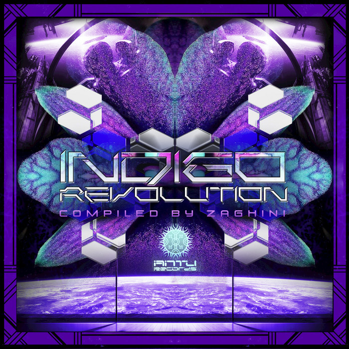 DJ ZAGHINI/VARIOUS - Indigo Revolution