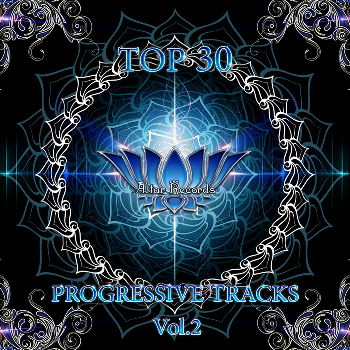 VARIOUS - Top 30 Progressive Tracks Vol 2