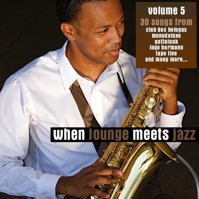 VARIOUS - When Lounge Meets Jazz Vol 5