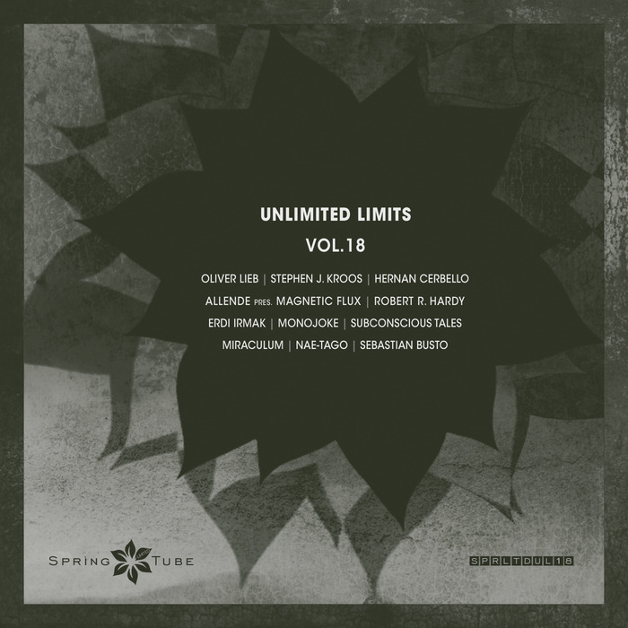 VARIOUS - Unlimited Limits Vol 18