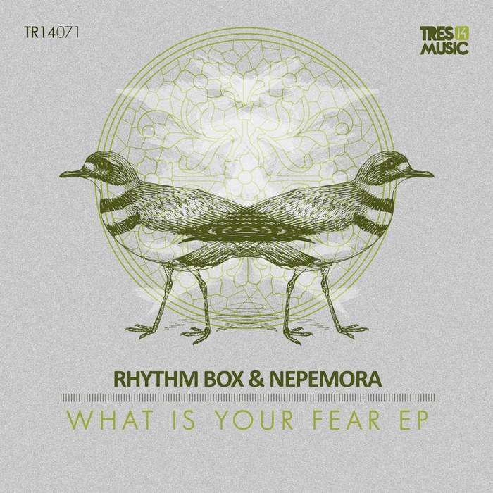 RHYTHM BOX/NEPEMORA - What Is Your Fear