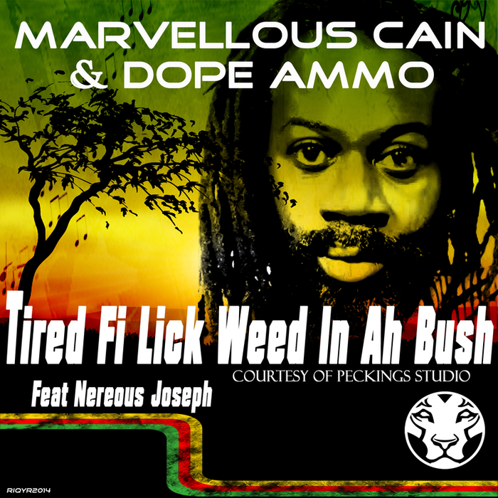 MARVELLOUS CAIN/DOPE AMMO feat NEREOUS JOSEPH - Tired Fi Lick Weed In A Bush