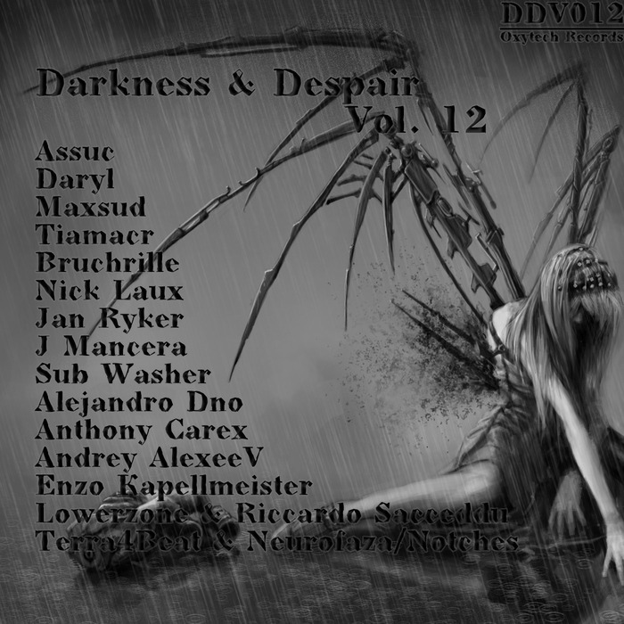 VARIOUS - Darkness & Despair Vol 12