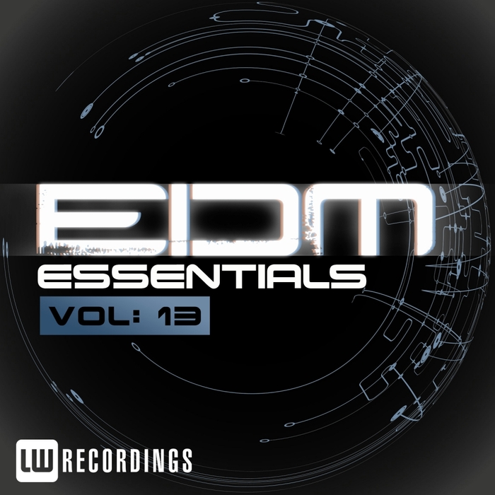 VARIOUS - EDM Essentials Vol 13