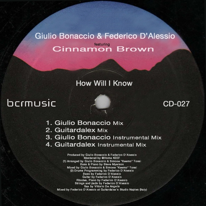 BONACCIO, Giulio/FEDERICO D'ALESSIO feat CINNAMON BROWN - How Will I Know
