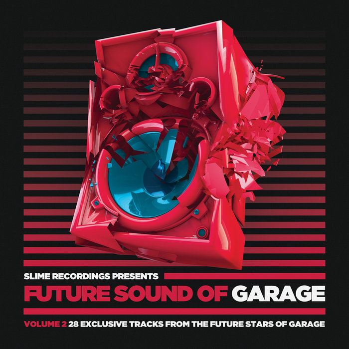 VARIOUS - Future Sound Of Garage 2