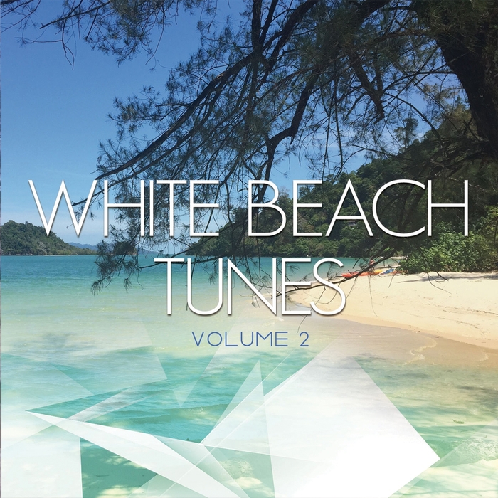 VARIOUS - White Beach Tunes Vol 2 (Pure Chill Out Moods)