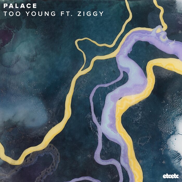 Palace feat Ziggy - Too Young