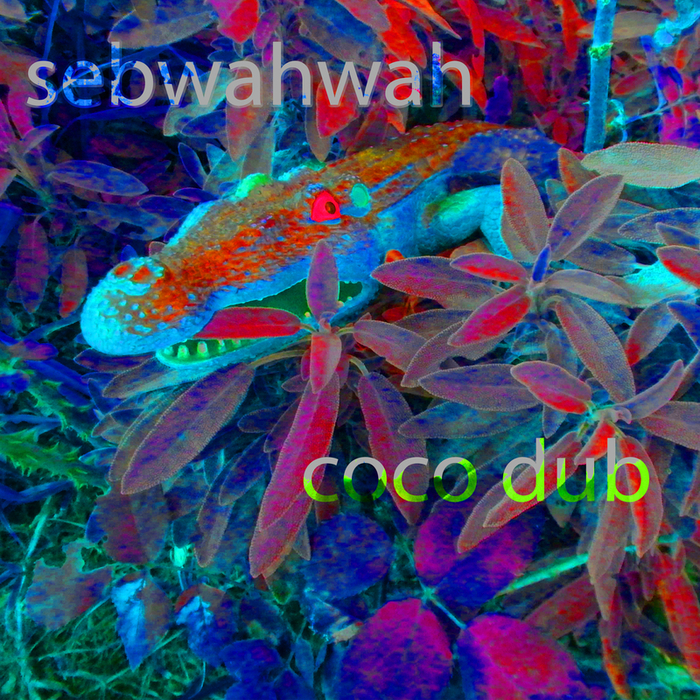 SEBWAHWAH - Coco Dub