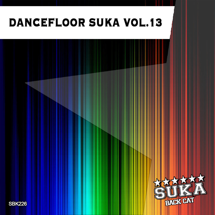 VARIOUS - Dancefloor Suka Vol 13