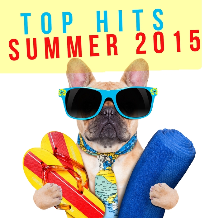 VARIOUS - Top Hits Summer 2015