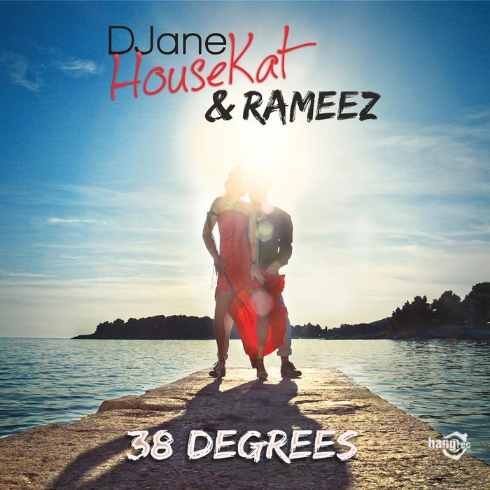 DJANE HOUSEKAT/RAMEEZ - 38 Degrees