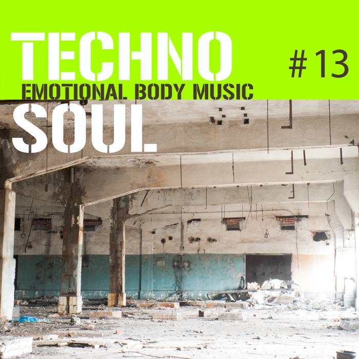 VARIOUS - Techno Soul #13: Emotional Body Music