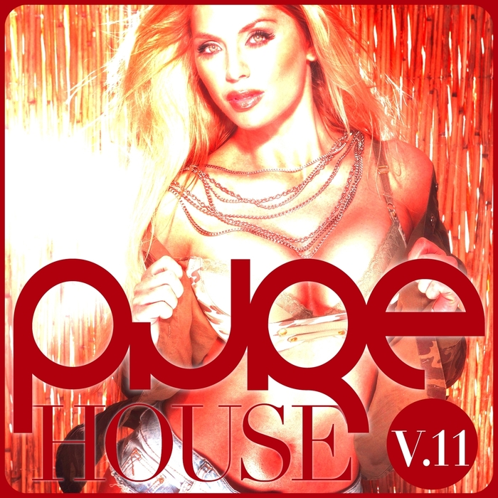 VARIOUS - PURE House Vol 11