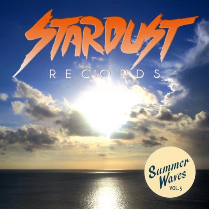 VARIOUS - Summer Waves Vol 5