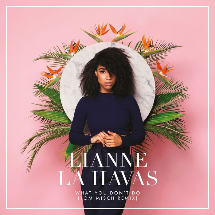 LIANNE LA HAVAS - What You Don't Do (Tom Misch Remix)