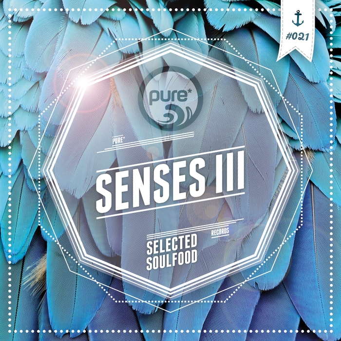 VARIOUS - Pure Senses (Selected Soulfood Vol 3)