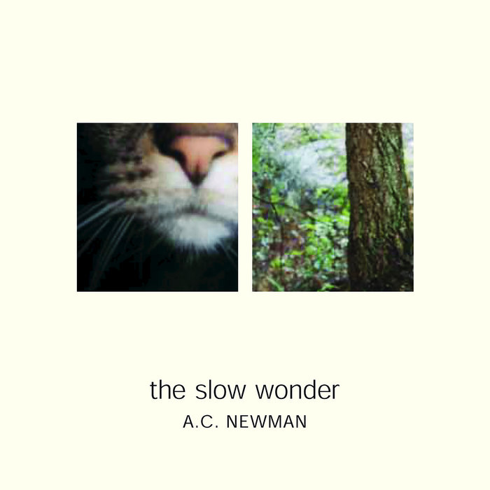 The Slow Wonder By A.C. Newman On MP3, WAV, FLAC, AIFF & ALAC At.