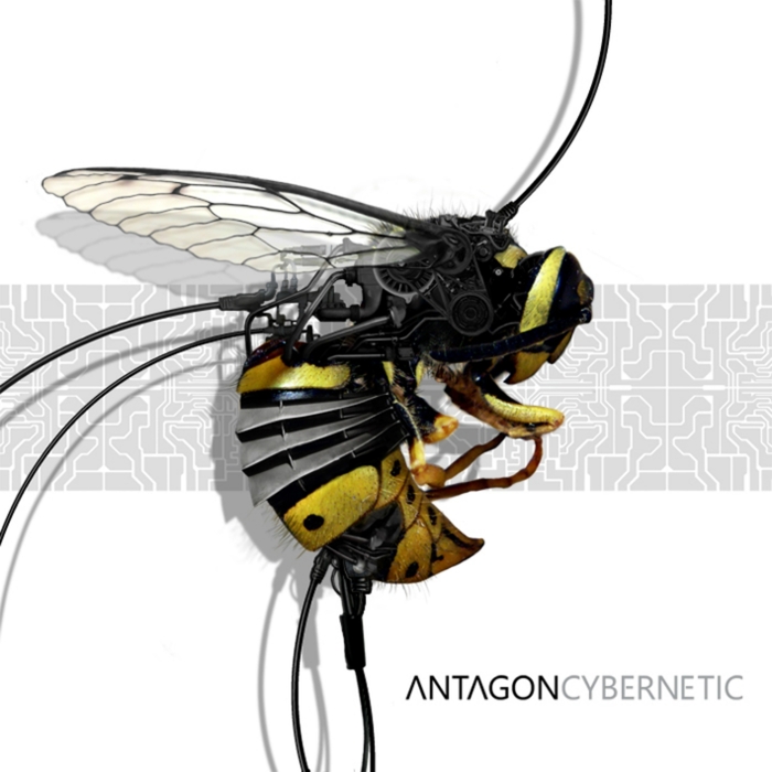 ANTAGON - Cybernetic