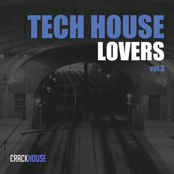 VARIOUS - Tech House Lovers Vol 3