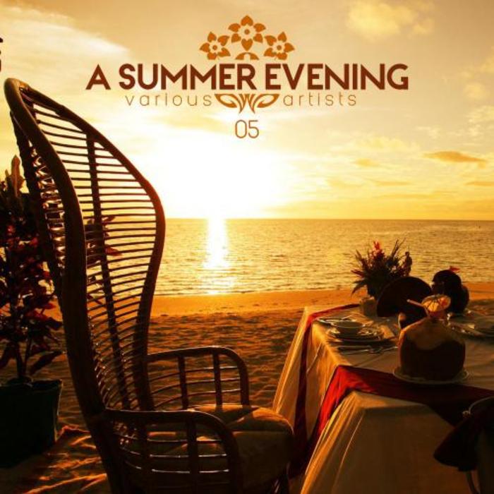 VARIOUS - A Summer Evening Vol 05