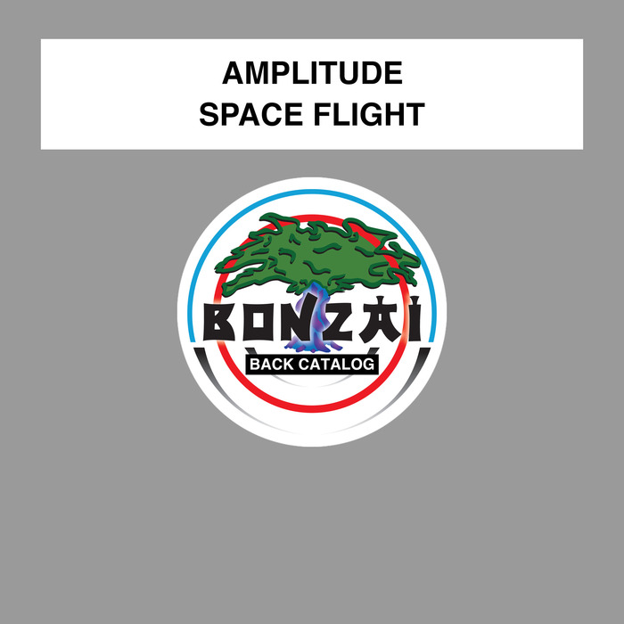 AMPLITUDE - Space Flight