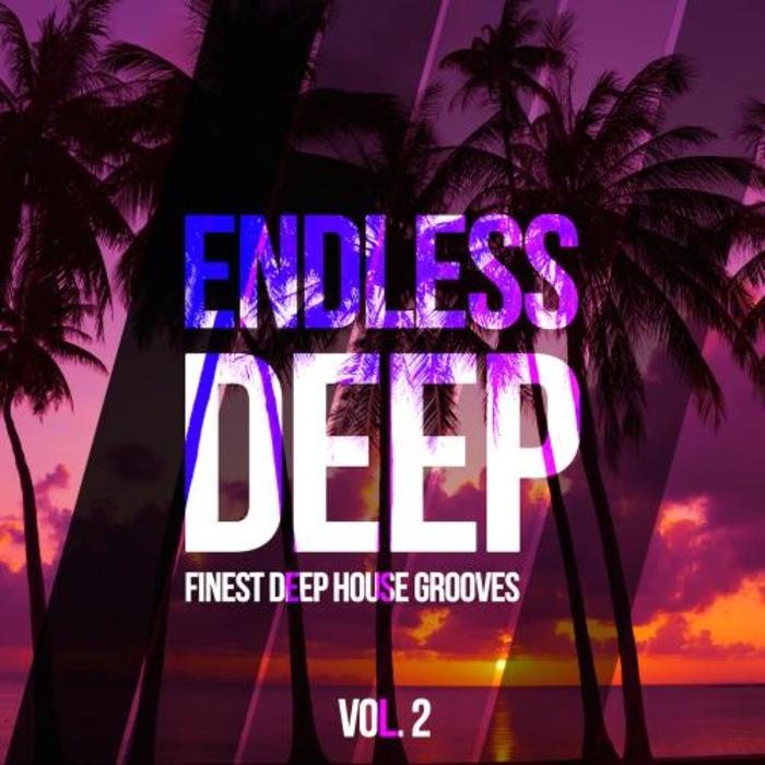 VARIOUS - Endless Deep (Finest Deep House Grooves Vol 2)