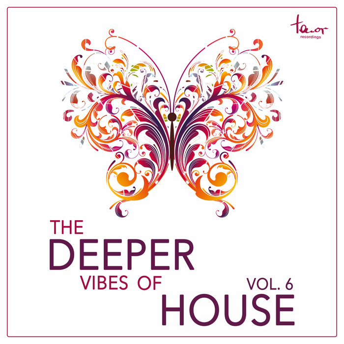 VARIOUS - The Deeper Vibes Of House Vol 6