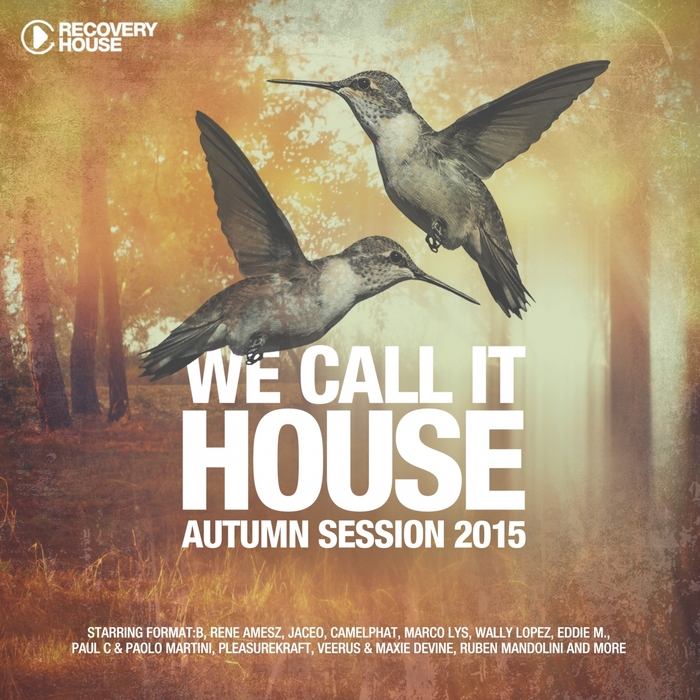 VARIOUS - We Call It House (Autumn Session 2015)
