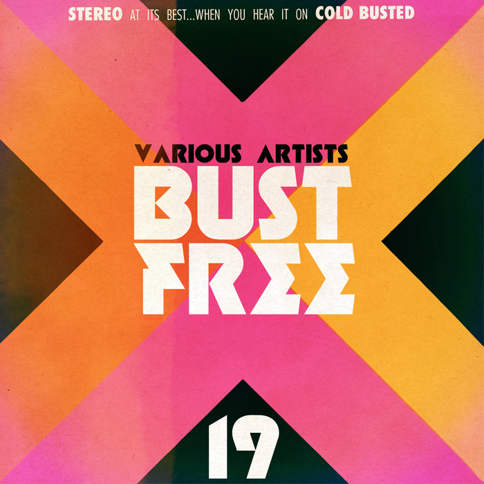 VARIOUS - Bust Free 19