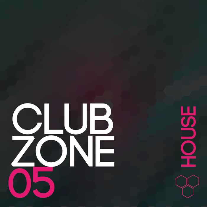 VARIOUS - Club Zone (House Vol 5)