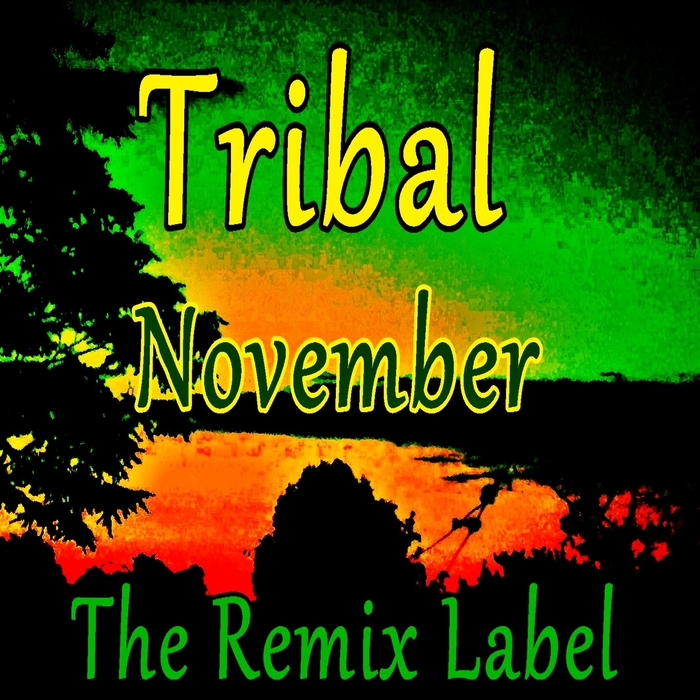 VARIOUS - Tribal November