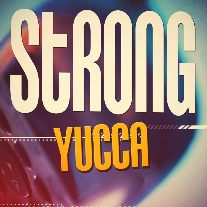 YUCCA - Strong