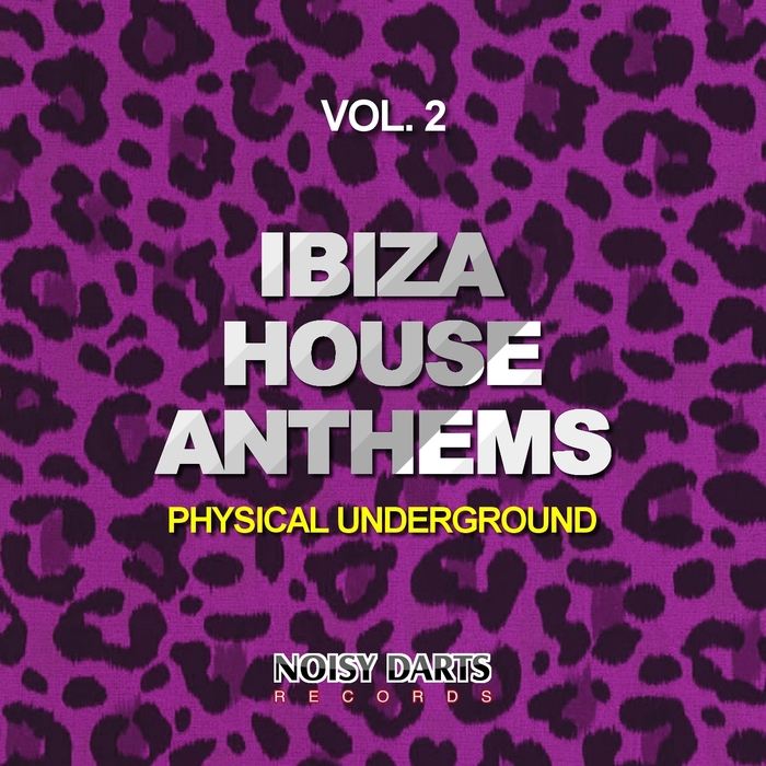 VARIOUS - Ibiza House Anthems Vol 2 (Physical Underground)