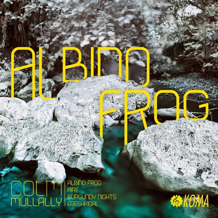 COLM MULLALLY - Albino Frog